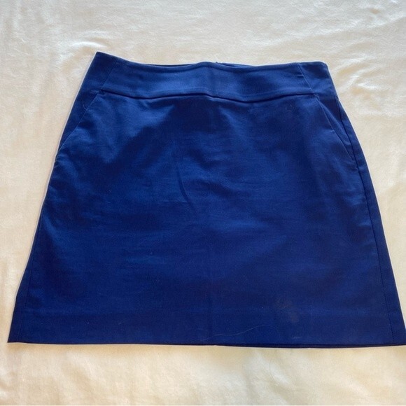 Ann Taylor Blue Mini Skirt Slash Pockets Luxurious Fabric Spandex Size 6 - Picture 2 of 9
